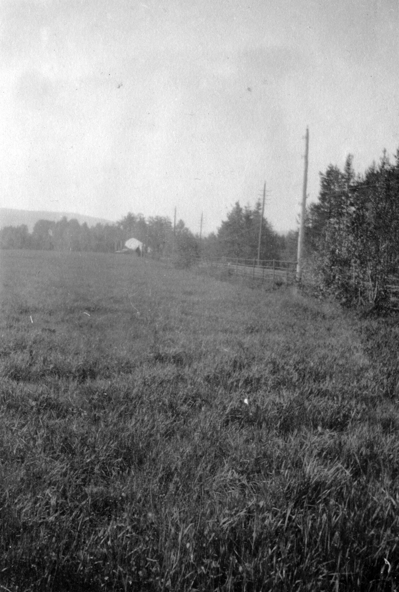 Flyeleven Torps krasjlanding med en Farman Shorthorn – via en telefonledning og i et gjerde i Nordre Odalen – da han gikk på Hærens flyskole i 1920.