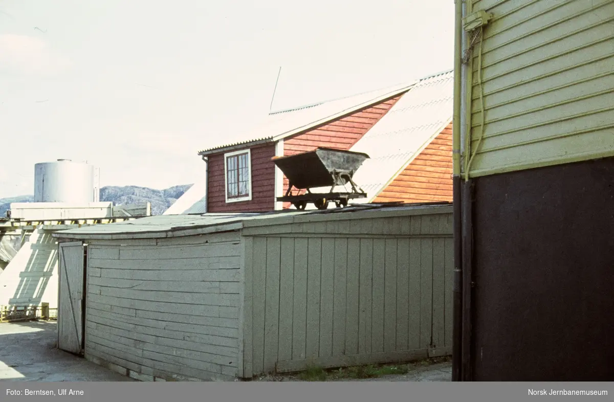 Smalsporet vagg på garasjetak i Florø