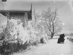 Prot: Vinter - Veiparti Urskog 11/1 1906