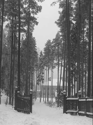 Prot: Indkjørsel til Nansens Villa 6/1 1907