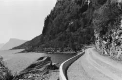 Prot:  Lysterfjorden veien