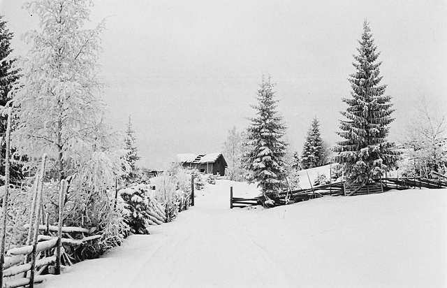 Prot: Vinter Hadeland