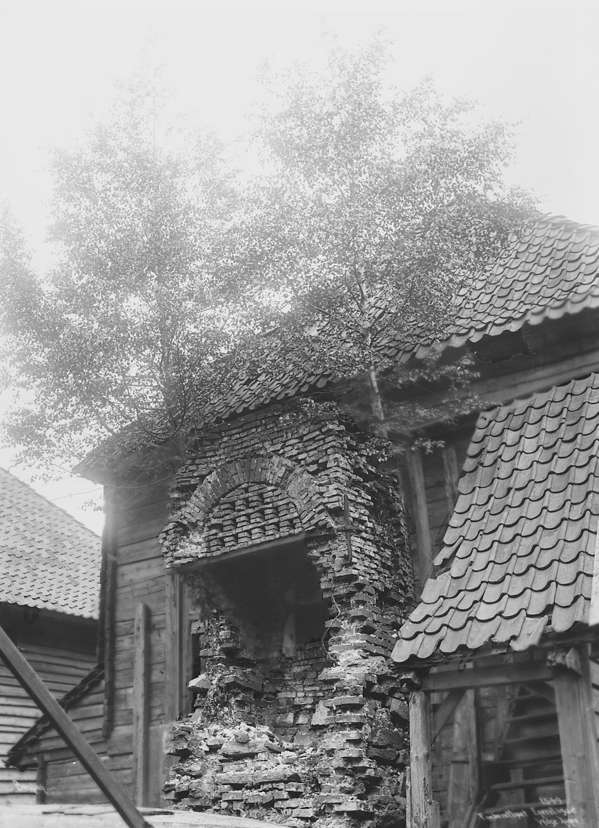 Prot: Bjørketrær på pipen i Bredsgården 12. Juli 1902