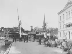 Prot: Arendal - Dampskibsbryggen 1. Aug. 1902