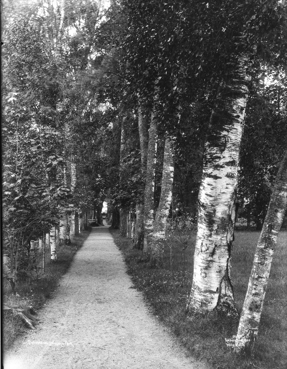Eidsvoll - Parken 6.aug. 1903