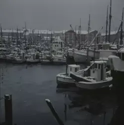 Hammerfest havn 17. Mai 1958