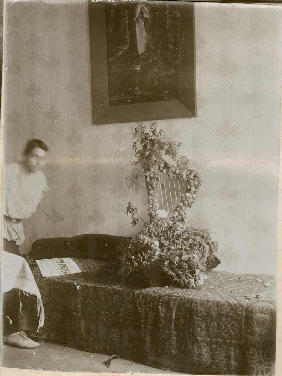 Motivet viser en ung mann som er på vei inn i bildet fra venstre side. På den sengeteppedekte divanen ligger en avis med russiske bokstaver og en blomsterdekorert harpe. På den tapetserte veggen henger et maleri.