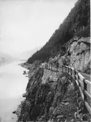Veg
Hallingdalsvegen ved Beiaklevi, 1890.