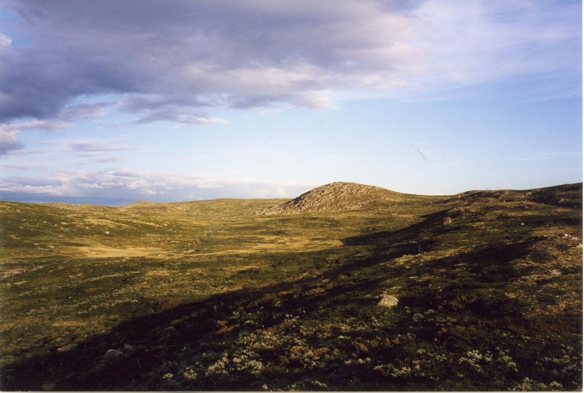 Landskap
Skurvenatten i bakgrunnen, øst for Reinsjøen.
