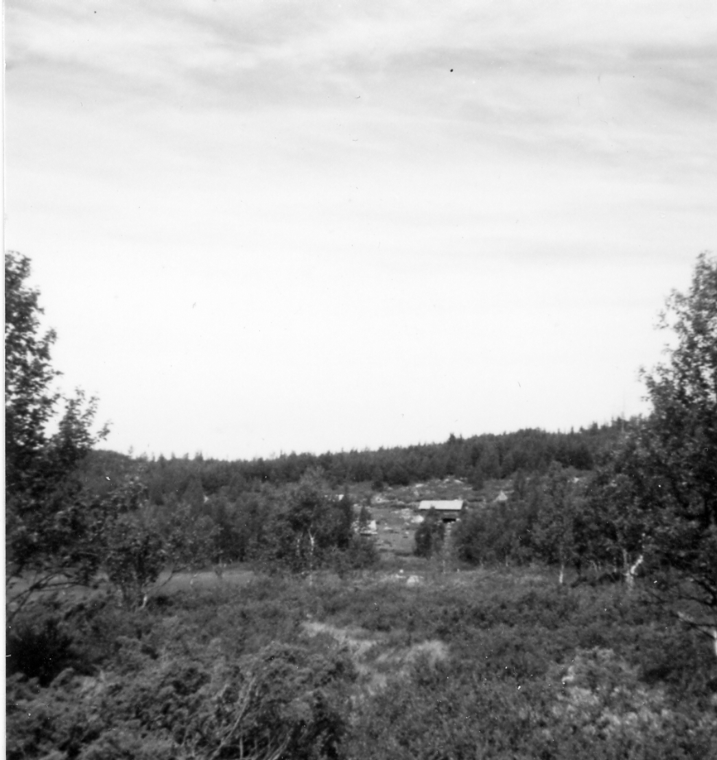 Landskap
Haugostølen. Rudningsvollen midt på bildet

