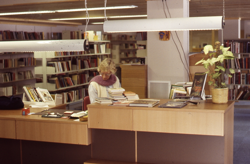 Bibliotek
Nesbyen folkebibliotek. Biblotekar Hedvig Eskild
