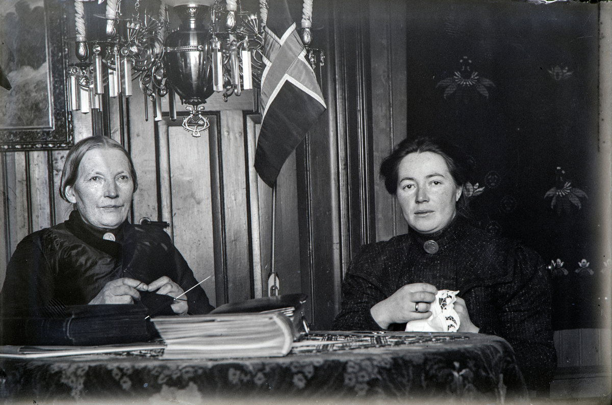 Stange, Frangstøa, fra venstre Jensine Dorthea Børresdatter (1842-1931) og datter Antonie Børdahl (1877-1959) født Nielsen, håndarbeide,