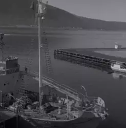 Fangstbåt i Tromsø havn