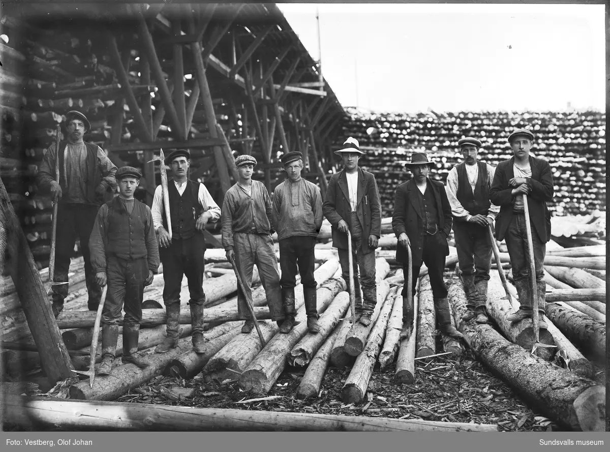 Gruppbild med nio män med flottarhakar intill ett timmerupplag, möjligen vid Juniskärs sågverk.