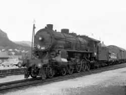 Damplokomotiv type 31b nr. 419 med godstog retning Bergen på