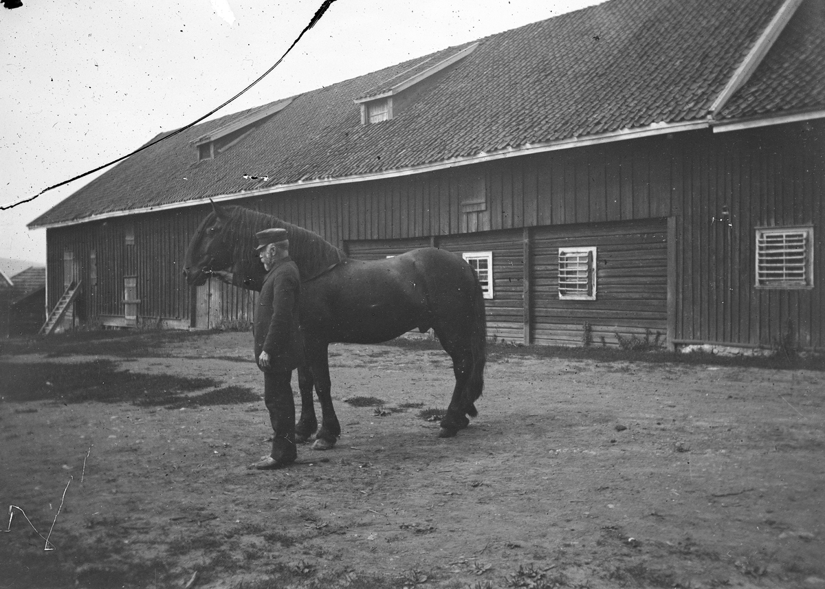 Ringsaker Lille gård, Vesleringsaker, mann med hest foran låvebygning, Øhre,