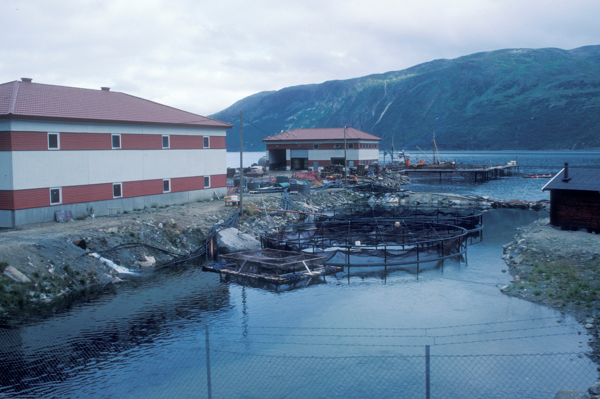 Tromsø 1985 : Prospektbilde av oppdrettsanlegg, to typer merder i forgrunnen