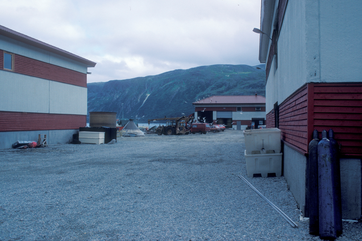 Tromsø 1985 : Bygninger/industriområde i forbindelse med oppdrettsanlegg