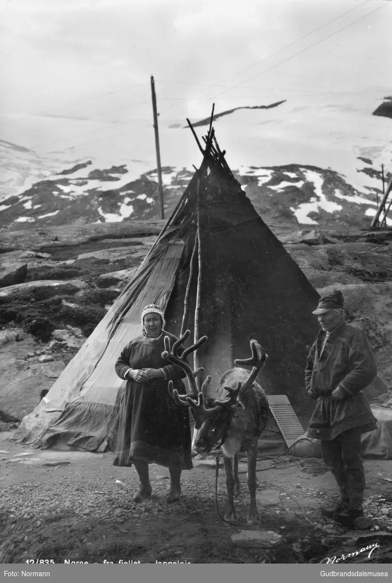 Ellen Partapuoli (f. Matti 1877) og Johannes Partapuoli (f. 1869) med ein rein utanfor teltet sitt ved Djupvasshytta