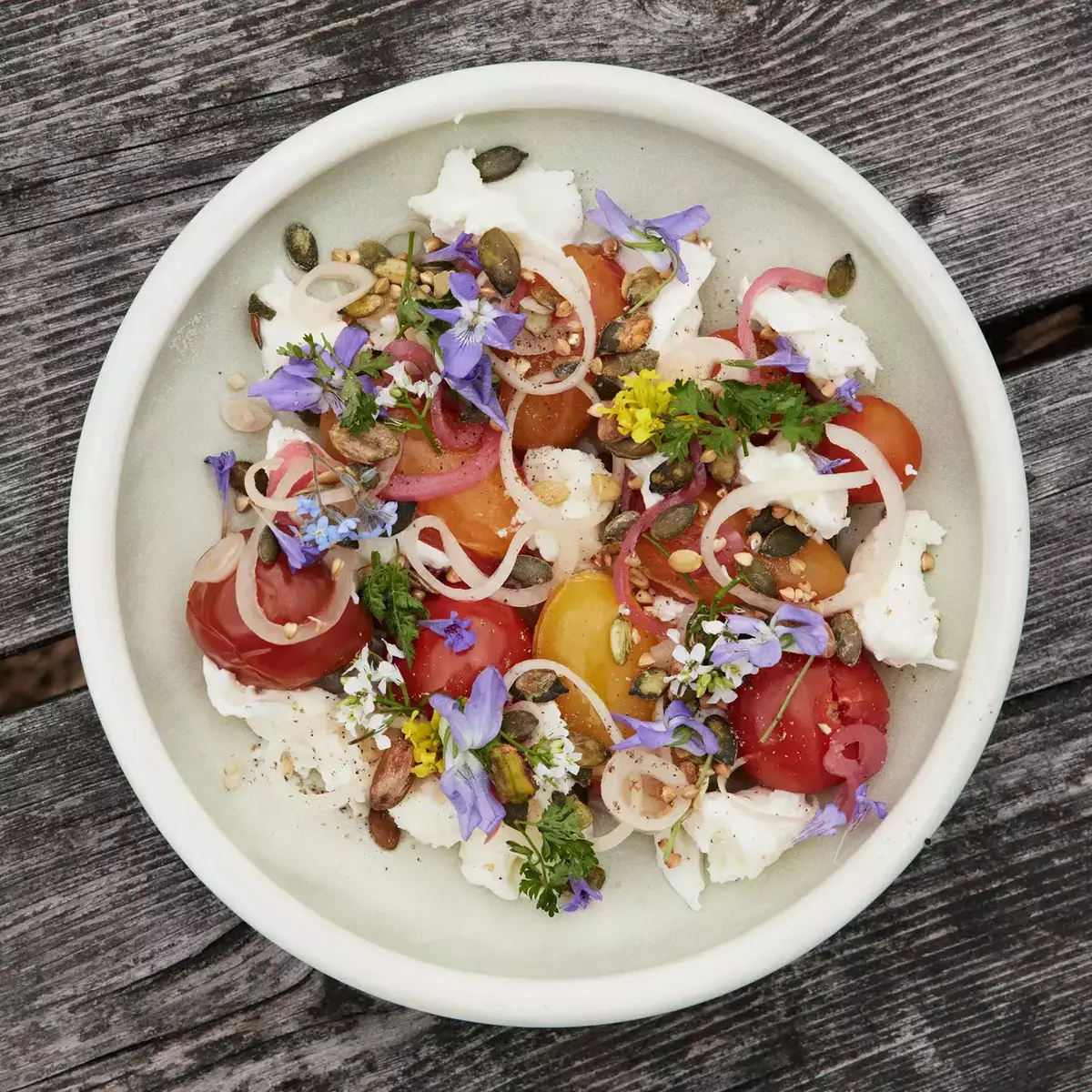 En frisk sommersalat med ost og tomat. 