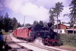 Damplokomotiv nr. 7 "Prydz" med Tertittoget på Norsk jernban