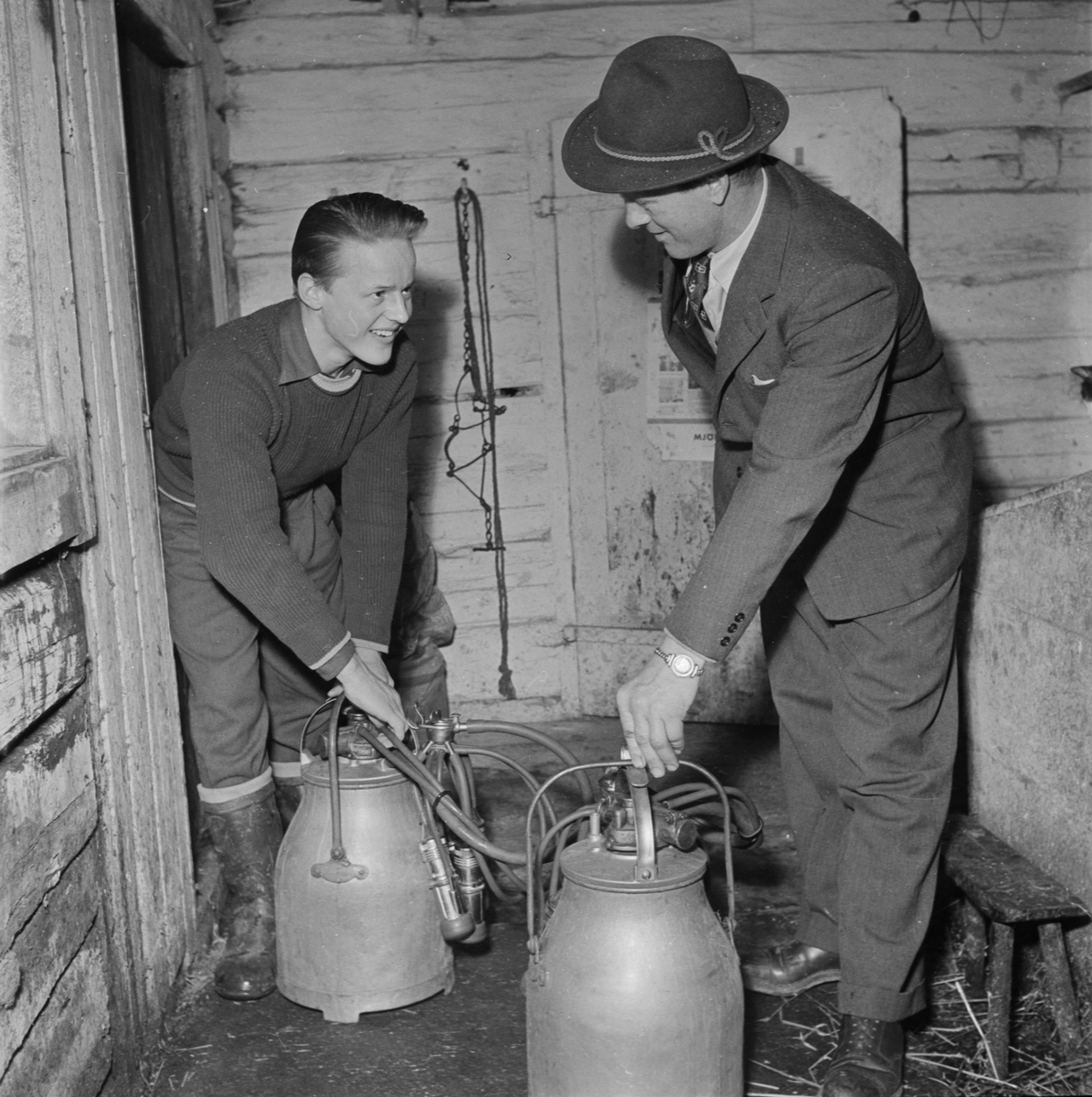 Nils Andersson får hjälp med mjölkmaskinerna i ladugården, av sonen Erik.