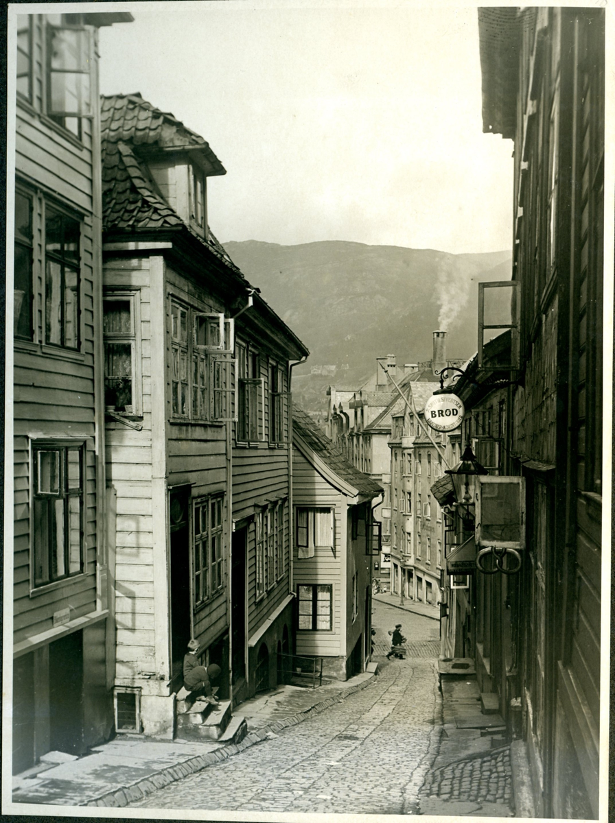 Cort Piilsmauet i Bergen