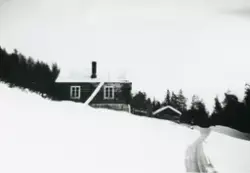 Hallingstugu.Stugi på Øli-Berget i 1960 åra.
Den vart fyrst 