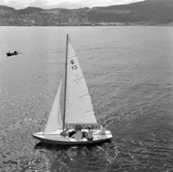 Båter på fjorden