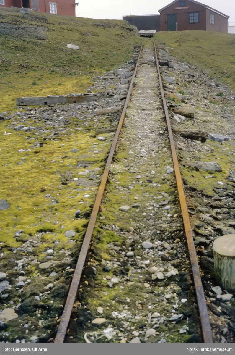 Rustne trallebanespor ved Herwighamna på Bjørnøya