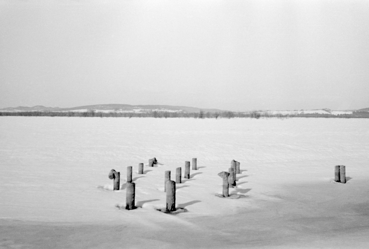 Stubber av gamle pæler som antakelig har inngått i en eldre fløtingsinnretning. Fotografiet er tatt ved Årnestangen i Rælingen, altså i den nordvestre enden av innsjøen Øyeren en vinterdag i 1937, da pælerestene stakk opp gjennom isen og snøen. Jfr. SJF.1989-03942.