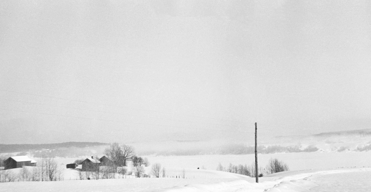Vinterlandskap ved Ulvetangen i Skiptvet i Østfold, med Glomma i bakgrunnen. Dette er den venstre halvdelen av et todelt panoramabilde, tatt vinteren 1937, da man arbeidet med bygginga av Glennetangen lense, som, hadde sine mosemaskiner 3-4 kilometer lengre nede i elvløpet.