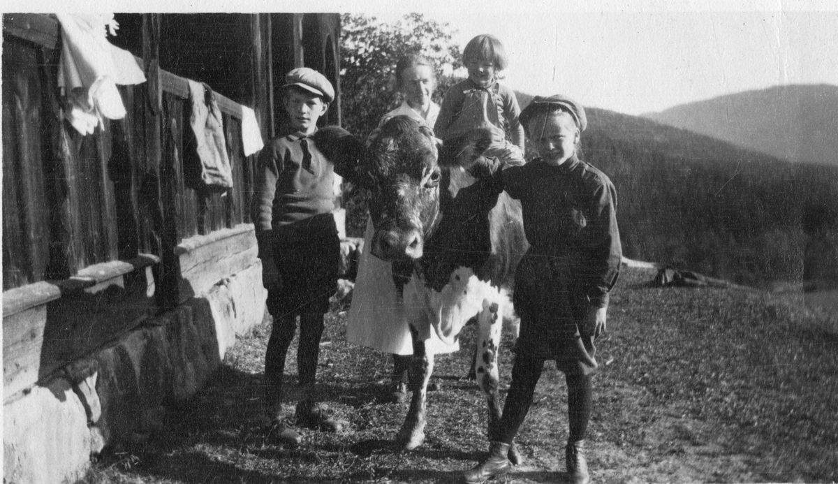 Foto av barn med ku. Antagelig Aall søsknene. Fra venstre: Storebror Niels Frederik, yngstemann Hans Cato og Cecilie Aall