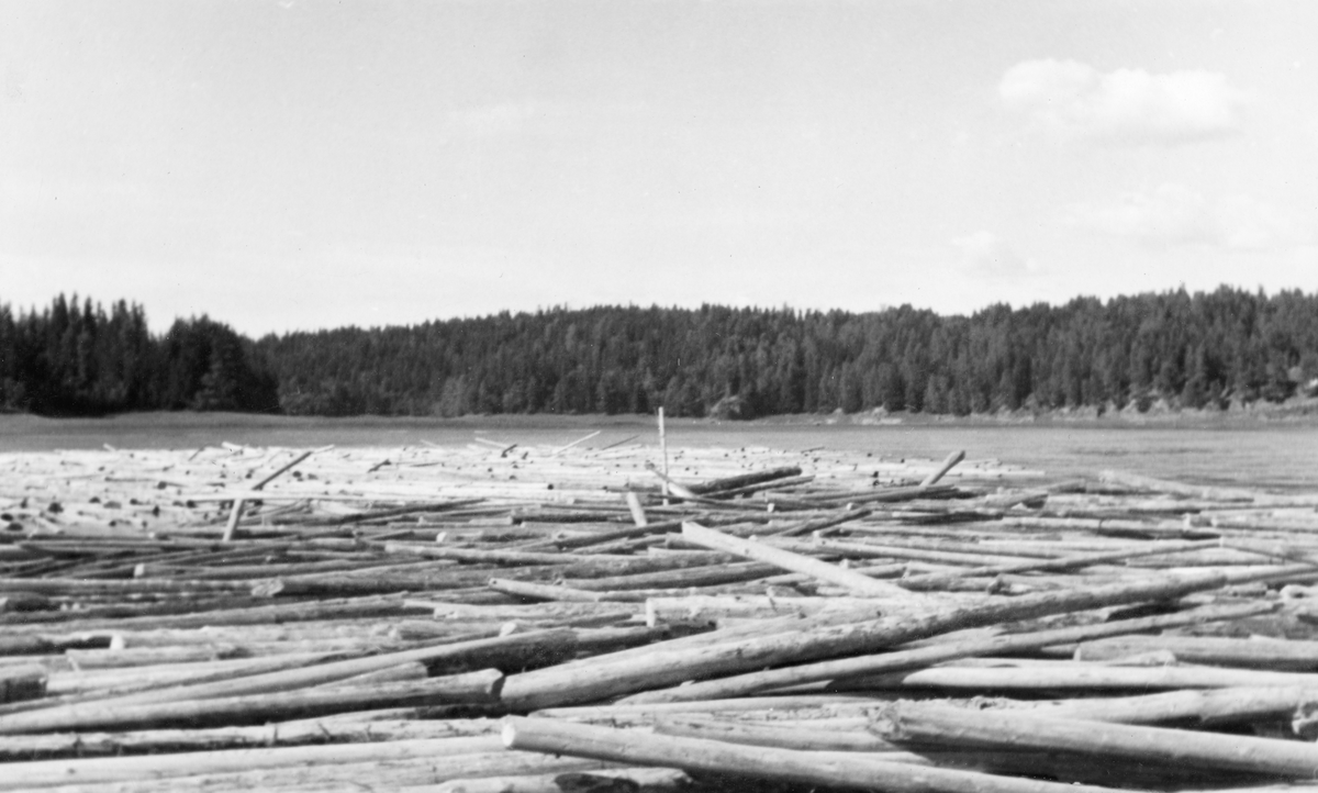 Ansamling av tømmer ved Jutulbrua i Nedre Glomma. Dette var ei rekke skjær som, i perioder med lite vann i elva, sperrert mye av passasjen for fløtingsvirket.