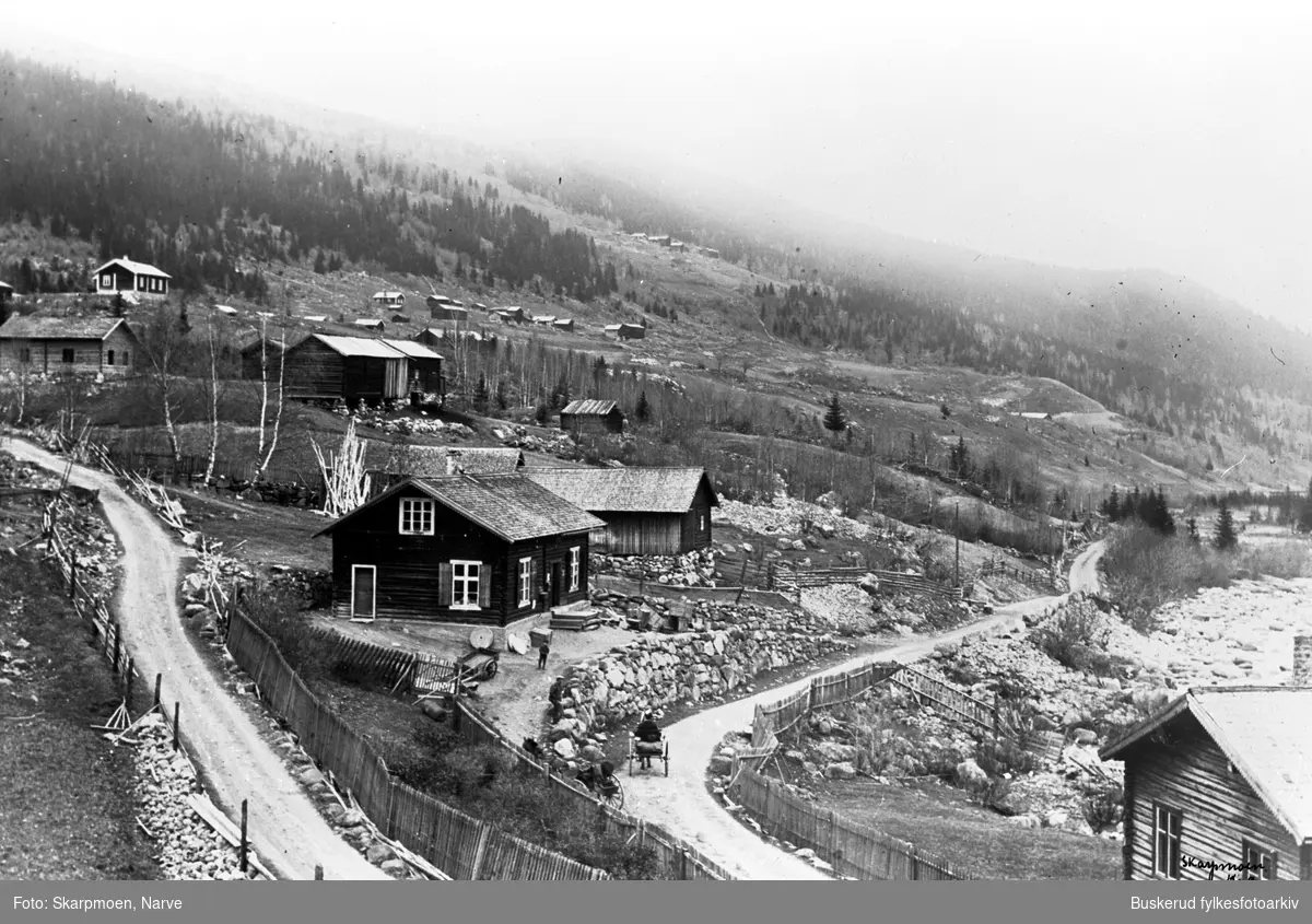 Parti fra Rukkedalen 1913.Rukkedalen er en sidedal til hoveddalføret Hallingdal i Nesbyen kommune i Viken. 