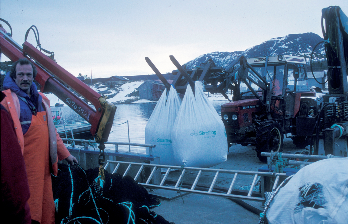 Bjugn, feb. 1995, SIMO/ST-Stamfisk? : Sekker med fiskefôr blir heist ombord en båt ved hjelp av traktor.