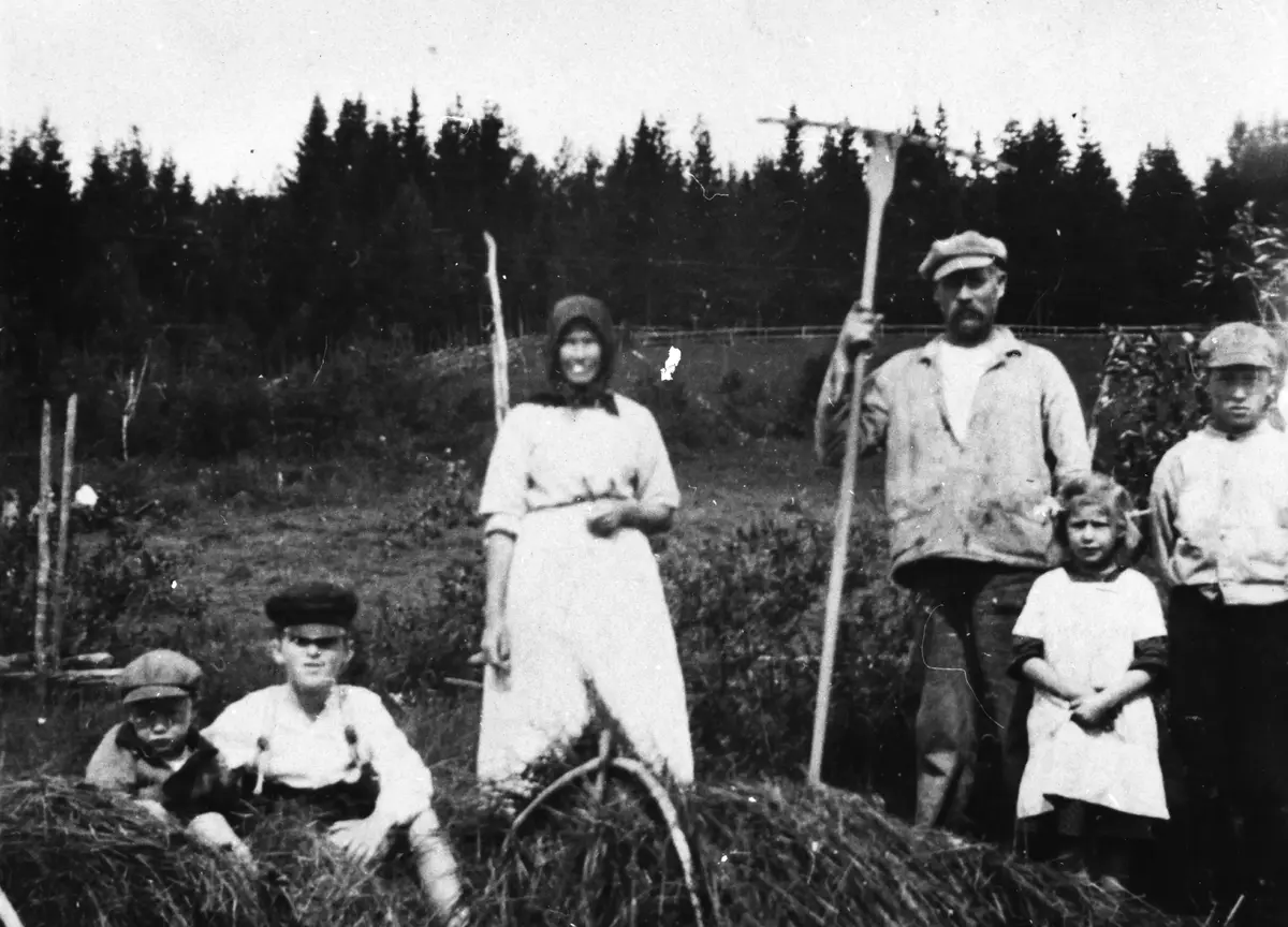 Höbärgning i Ljungby, Österhaninge socken 1921.


Man skördade kärrhö som släpades upp på torr mark med hösläpan i förgrunden. Den var tillverkad av två slanor med tvärslår. Träbågarna hindrade höet från att glida av då släpan lutades.


Personer från vänster: Yngve och Ivan Holm, sommarbarn, Ebba Pettersson (född 1876), hennes svåger Knut Pettersson (född 1873), Anna Pettersson (född 1914), dotter, och Olof Pettersson (född 1909).


Olof Petterson var bussförare, verkmästare, kommunalpolitiker (s), bl.a. ordförande i kulturnämnden i Österhaninge 1956-59.