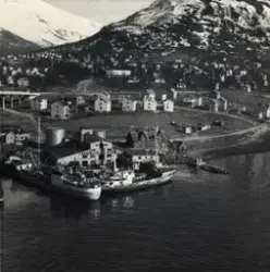 Riberkaia i Tromsdalen, " Kvitfjeld " omdøpt fra " Toppen "