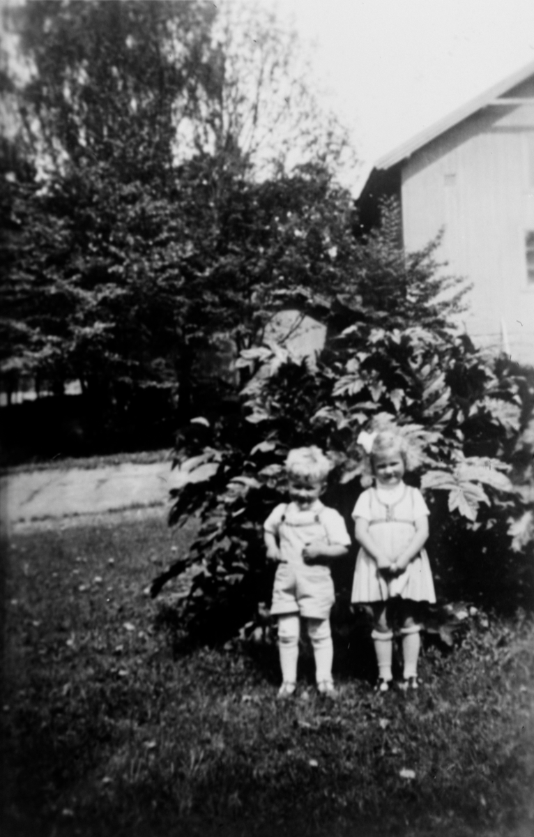 Repro: To barn foran stor plante