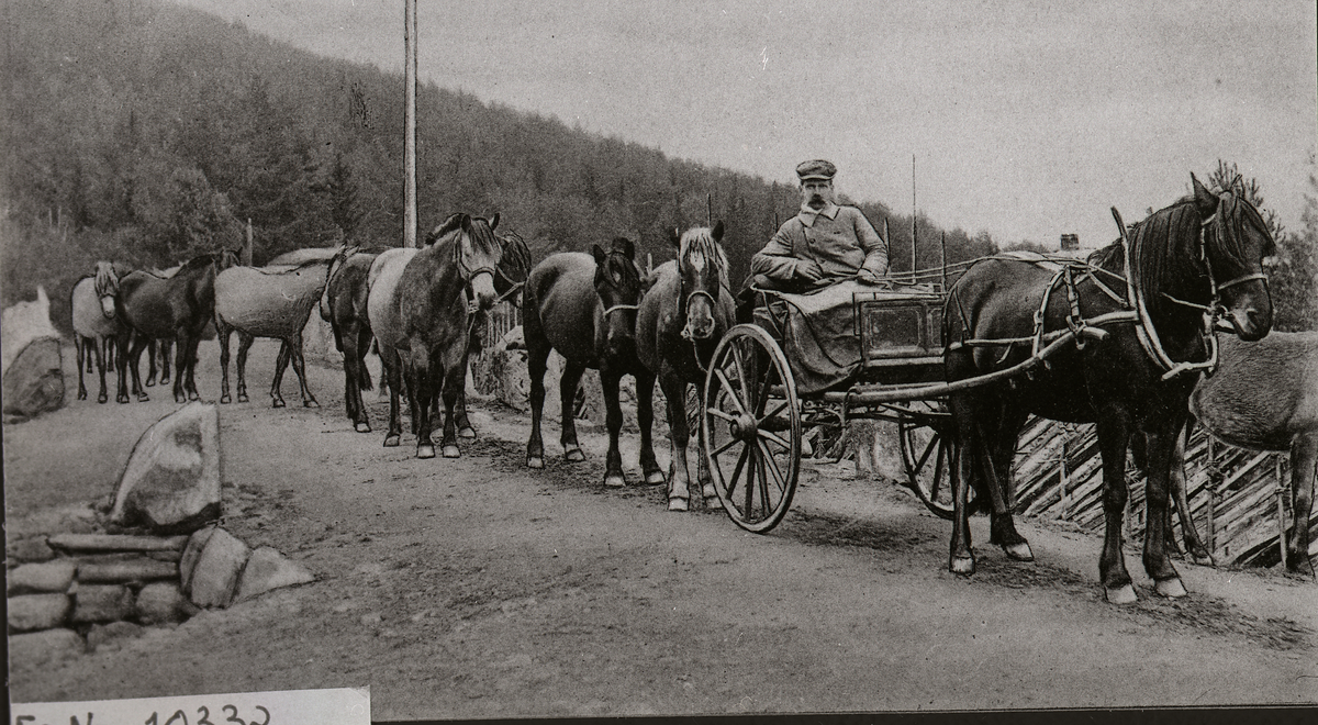 Hestehandel
Hestehandlere fra Hallingdal på veg til byen.
 
