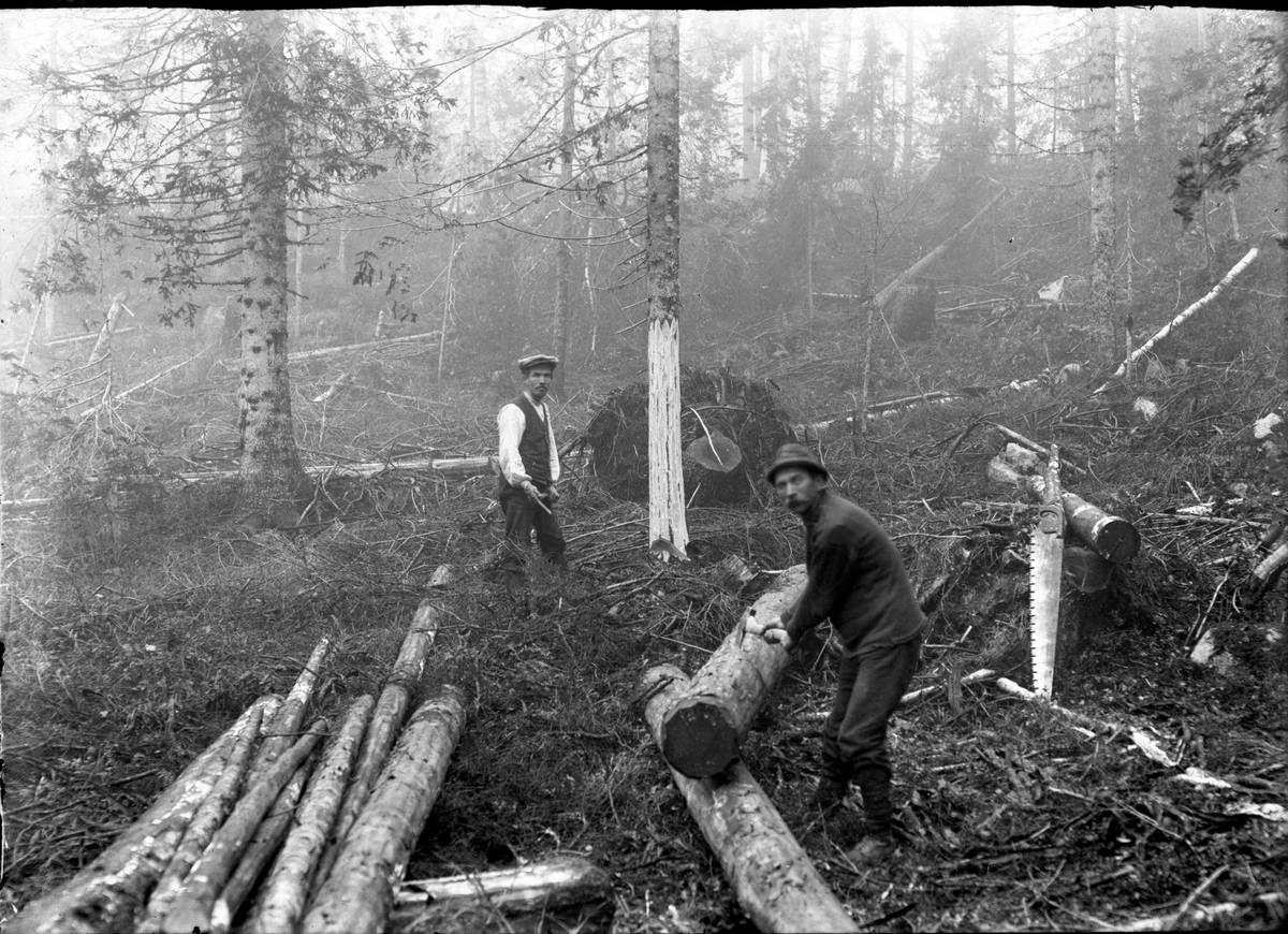 Portrett av brødrene Johannes Hansen Grorud (1891) og Anders Grorud (1878) som arbeider med tømmer.

Fotosamling etter fotograf og skogsarbeider Ole Romsdalen (f. 23.02.1893).