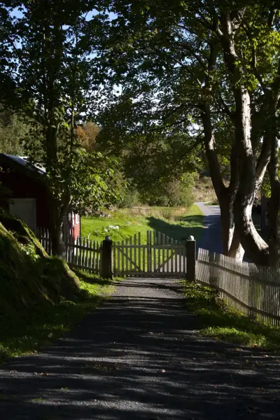 Utsikt ut hagegrinda på Rosvoll