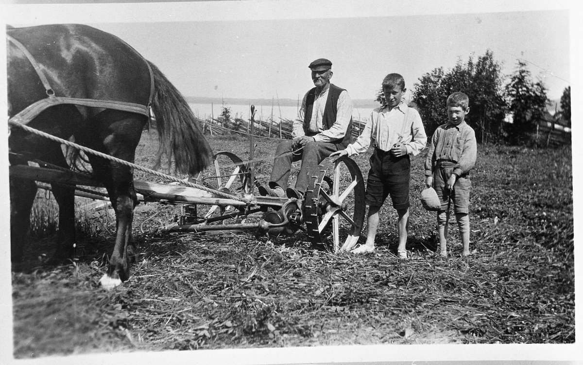 Helge Sandberg sitter på slåmaskinen.  Hesten vi ser nærmest er travhoppen Lillemor som Helge Sandberg f. 1898 kjøpte av Mads H. Aarsby i 1919.  De to småguttene som står ved siden av slåmaskinen er 2 av sommergjestene som var i Ekeren mens han drev sommerpensjonat, mest Oslo-folk.