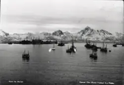 Melbu havn i 1937, Neptun Sildoljefabrikk i bakgrunnen