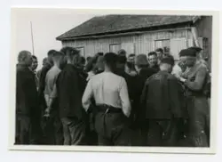Fangeleir for russiske krigsfanger, Rauøy i Onsøy, mai 1945.