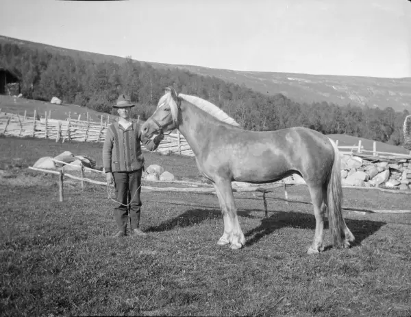 Frå Sør-Seter på Lesjaskog. Steinen oppi bakken ligg der enda. Skigarden var ein del av ein geile. Karen på biletet er ukjend. Fotograf er Anton H. Skotte (1883–1975) frå Sør-Skotte på Lesjaskog. Anton var utdanna lærar i Tromsø. Han arbeidde ein tiårsperiode som lærar på Lesja – mellom 1907 og 1917. Seinare var han lærar fleire stader i Hedmark. Han døydde på Elverum. Anton var ein ivrig amatørfotograf.