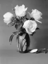 Blomstervase. Fra arkivet etter John Myren.