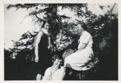 Tre kvinner sitter i skogen, de smiler og ler sammen.