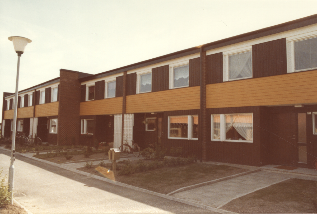 Brandskadade radhus på Rösegårdsgatan i Västerås 1978