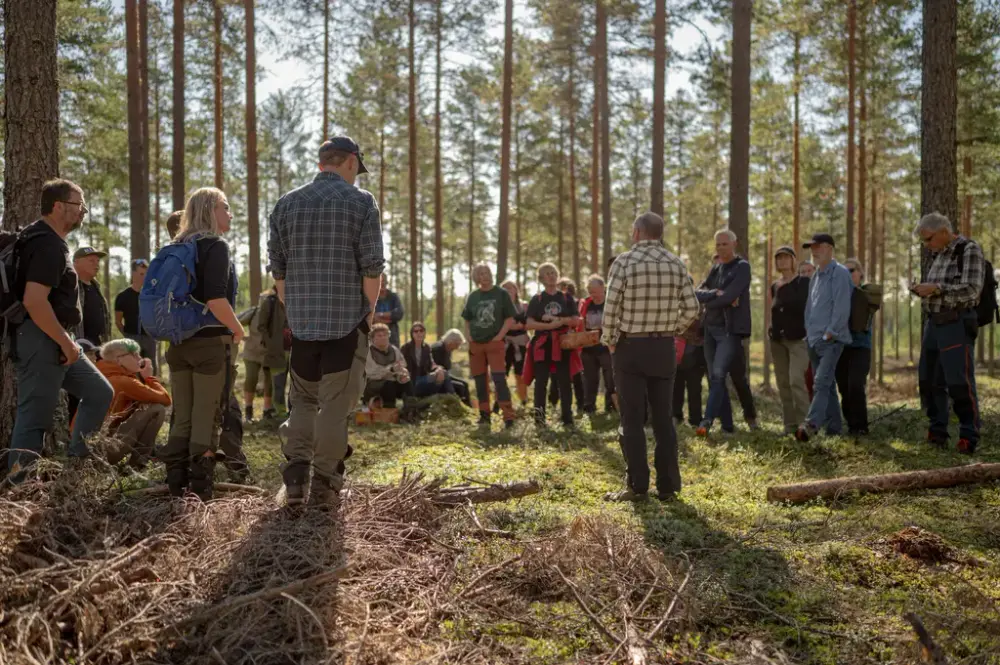 En gruppe mennesker står i skogen. Sola faller inn mellom trærne.